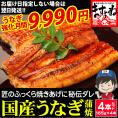 《うなぎ強化月間》［価格値下げ!!］国産 特大うなぎ蒲焼き 約165g×4本 [鹿児島･愛知･宮崎県産]【国産うなぎ/ウナギ/鰻/ウナギ蒲焼き/ギフト/土用の丑の日/お中元/送料無料/ますよね】