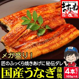 国産 特大うなぎ蒲焼き 約165g×4本 [鹿児島･愛知･宮崎県産]【国産うなぎ/ウナギ/鰻/ウナギ蒲焼き/ギフト/土用の丑の日/父の日/送料無料/ますよね】