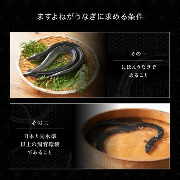 ＼うなぎ強化セール／刻み にほんうなぎ 5食分 (100g×5袋)合計500g [台湾産]【ニホンウナギ/鰻/ウナギ/うな丼/きざみ鰻/ギフト/土用の丑の日/父の日/お中元/送料無料/ますよね】03