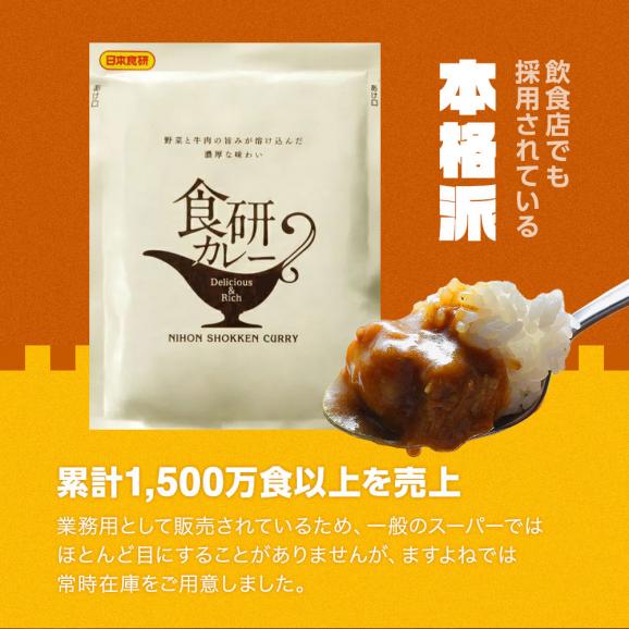 濃厚なフォンと20種類以上のスパイスが利いた本格派 レトルトカレー 日本食研 4食セット 200g×4袋 4人前 中辛【カレー/カレーライス/スパイスカレー/メール便/送料無料/ますよね】02