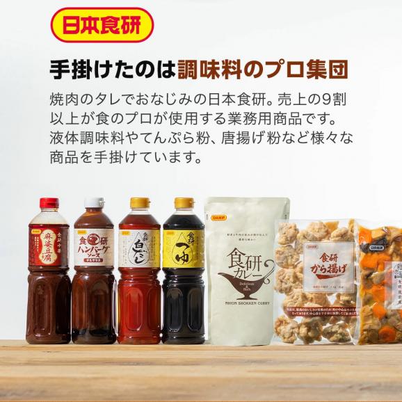濃厚なフォンと20種類以上のスパイスが利いた本格派 レトルトカレー 日本食研 4食セット 200g×4袋 4人前 中辛【カレー/カレーライス/スパイスカレー/メール便/送料無料/ますよね】03