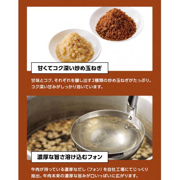 濃厚なフォンと20種類以上のスパイスが利いた本格派 レトルトカレー 日本食研 4食セット 200g×4袋 4人前 中辛【カレー/カレーライス/スパイスカレー/メール便/送料無料/ますよね】04