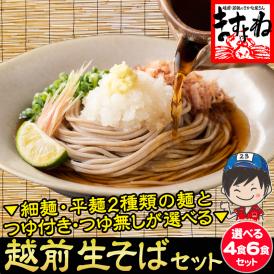 ＼新発売／越前そば [選べる 平麺 or 細麺 / つゆ付4食 or つゆ無6食]【蕎麦/ソバ/生麺/年越しそば/生そば/生蕎麦/お取り寄せ/メール便/送料無料/ますよね】
