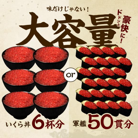 紅鮭いくら醤油漬け 500g【いくら/イクラ/しょうゆ漬け/海鮮/海鮮丼/いくら丼/お中元/ギフト/お取り寄せグルメ/送料無料/ますよね】04