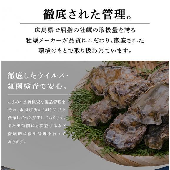 【お刺身OK】兵庫県室津産 殻付き牡蠣 700g前後(約12粒入) 高圧処理済みで簡単殻むき ※同梱不可【送料無料/貝/かき/カキ/生牡蠣/生かき/生ガキ/ギフト/お中元/BBQ/ますよね】03