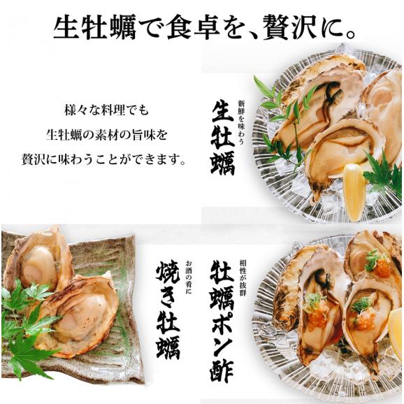 【お刺身OK】兵庫県室津産 殻付き牡蠣 700g前後(約12粒入) 高圧処理済みで簡単殻むき ※同梱不可【送料無料/貝/かき/カキ/生牡蠣/生かき/生ガキ/ギフト/お中元/BBQ/ますよね】05