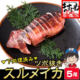 ＼新登場／ツボ抜き するめいか 5杯 下処理済み 加熱用【BBQ/スルメイカ/烏賊/イカ/いか/丸ごとイカ/焼きイカ/ギフト/お歳暮/送料無料/ますよね】