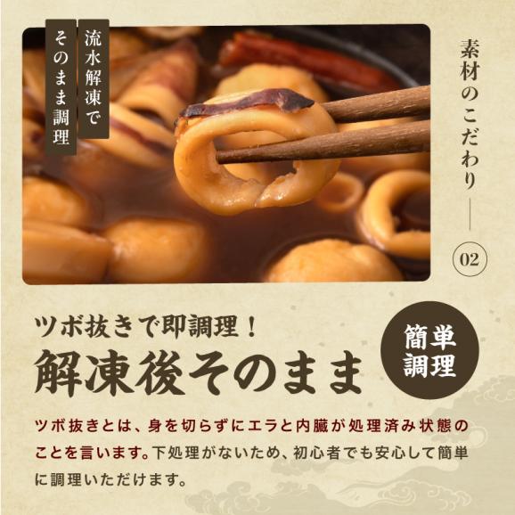 ＼新登場／ツボ抜き するめいか 5杯 下処理済み 加熱用【BBQ/スルメイカ/烏賊/イカ/いか/丸ごとイカ/焼きイカ/ギフト/お歳暮/送料無料/ますよね】04