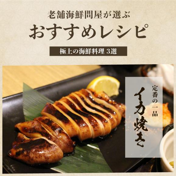 ＼新登場／ツボ抜き するめいか 5杯 下処理済み 加熱用【BBQ/スルメイカ/烏賊/イカ/いか/丸ごとイカ/焼きイカ/ギフト/お歳暮/送料無料/ますよね】05