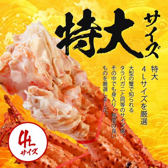 ＼新登場／ゴールデンキングクラブ 800g(1肩) 4L ボイル済み 【イラバガニ/蟹/かに/カニ/たらば/タラバ/ギフト/お歳暮/送料無料/ますよね】03