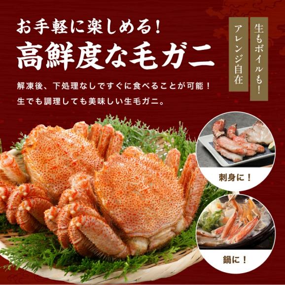 生食OK!カット済み 生毛ガニ 300g カニ刺しでも食べられる毛ガニ【毛がに/毛蟹/生毛蟹/お歳暮/ギフト/送料無料/ますよね】02