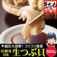 お刺身OK 大粒 生つぶ貝(むき身) 500g【BBQ/貝/ツブ貝/ツブガイ/ツブカイ/粒貝/海鮮/母の日/ギフト/送料無料/ますよね】