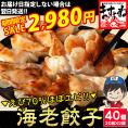《期間限定セール》驚異のエビ含有率70％!! エビ好きのための海老餃子 40個入(20個入×2袋)【えび餃子/ぎょうざ/ギョウザ/海老/えび/焼き餃子/水餃子/ギフト/送料無料/ますよね】