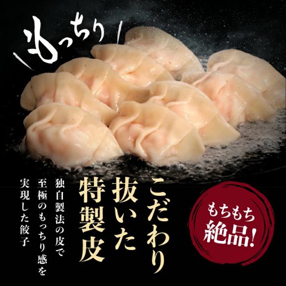 驚異のエビ含有率70％!! エビ好きのための海老餃子 60個入(20個入&times;3袋)【エビギョウザ/えび餃子/ぎょうざ/ギョウザ/海老/えび/焼き餃子/点心/水餃子/ギフト/送料無料/ますよね】04