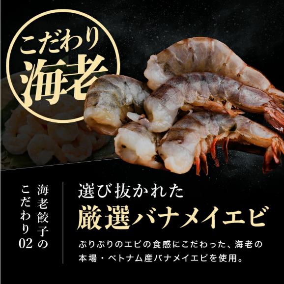 驚異のエビ含有率70％!! エビ好きのための海老餃子 60個入(20個入&times;3袋)【エビギョウザ/えび餃子/ぎょうざ/ギョウザ/海老/えび/焼き餃子/点心/水餃子/ギフト/送料無料/ますよね】05