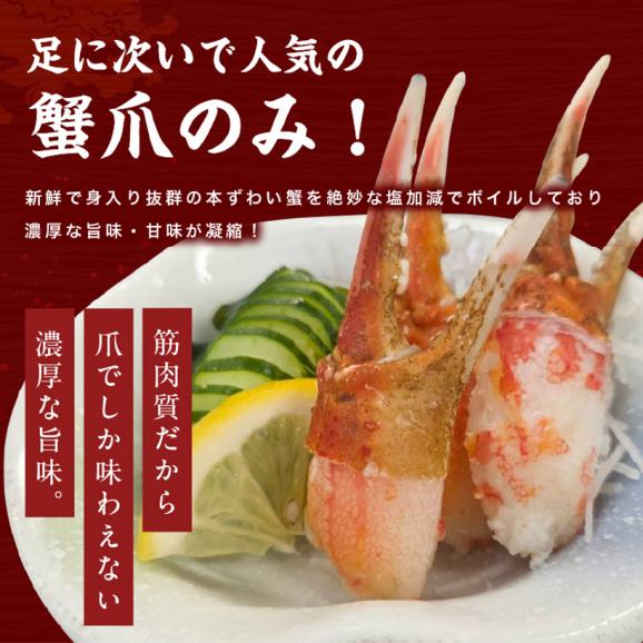 【見切りセール】[賞味期限3月末まで]ボイル ずわい蟹 爪ポーション 1kg(500g&times;2袋)【カニ爪/かに爪/蟹爪/ズワイ蟹/ずわいがに/かに/蟹/焼蟹/ポーション/送料無料/ますよね】02