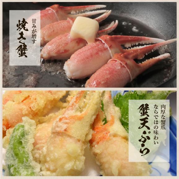 【見切りセール】[賞味期限3月末まで]ボイル ずわい蟹 爪ポーション 1kg(500g&times;2袋)【カニ爪/かに爪/蟹爪/ズワイ蟹/ずわいがに/かに/蟹/焼蟹/ポーション/送料無料/ますよね】05