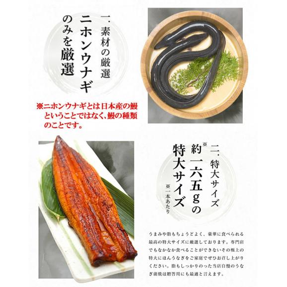特大にほんうなぎ 蒲焼き 約165g&times;1尾 [台湾産] (タレ･山椒付)【鰻/ウナギ/うなぎ蒲焼き/ギフト/プレゼント/母の日/土用の丑の日/送料無料/ますよね】02