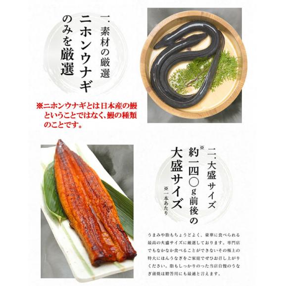 【ギフト箱入り】特大にほんうなぎ 蒲焼き 約280g(約140g&times;2尾)[台湾産] (タレ･山椒付)【鰻/ウナギ/うなぎ蒲焼き/ギフト/プレゼント/父の日/土用の丑の日/送料無料/ますよね】02
