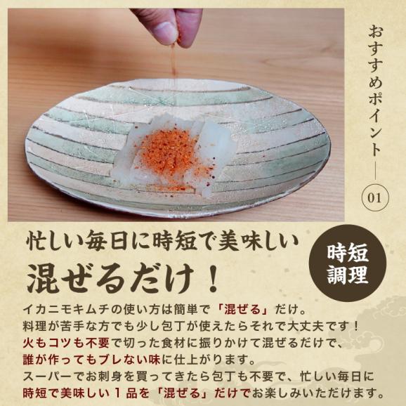 【保存料・着色料不使用】ふりかけるだけ イカニモキムチ 100g キムチの素 万能調味料 手軽【キムチ/粉末キムチ/オイキムチ/韓国料理/イカキムチ/キムチ料理/メール便/送料無料/ますよね】02
