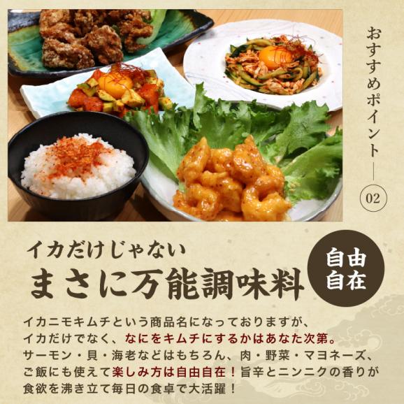 【保存料・着色料不使用】ふりかけるだけ イカニモキムチ 100g キムチの素 万能調味料 手軽【キムチ/粉末キムチ/オイキムチ/韓国料理/イカキムチ/キムチ料理/メール便/送料無料/ますよね】03