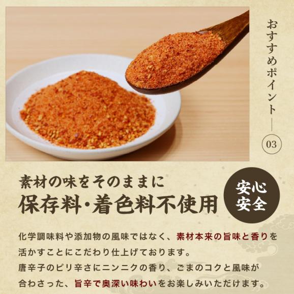 【保存料・着色料不使用】ふりかけるだけ イカニモキムチ 100g キムチの素 万能調味料 手軽【キムチ/粉末キムチ/オイキムチ/韓国料理/イカキムチ/キムチ料理/メール便/送料無料/ますよね】04