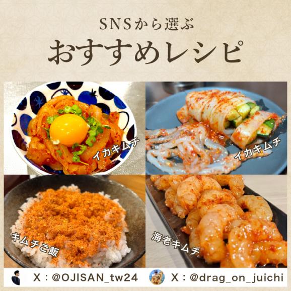【保存料・着色料不使用】ふりかけるだけ イカニモキムチ 100g キムチの素 万能調味料 手軽【キムチ/粉末キムチ/オイキムチ/韓国料理/イカキムチ/キムチ料理/メール便/送料無料/ますよね】05