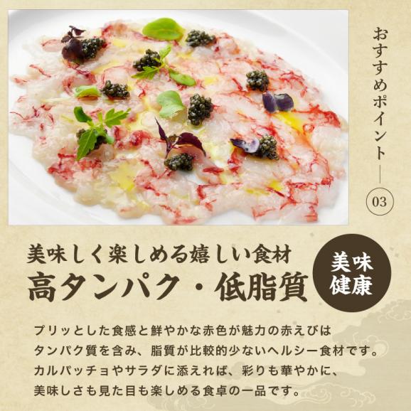 お刺身OK 天然 赤えび開き 20尾 アルゼンチン産【エビ/海老/赤エビ/赤海老/お寿司/ちらし/エビフライ/手巻き寿司/送料無料/ますよね】04