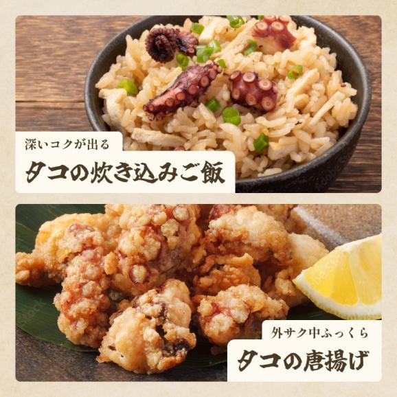 福井県敦賀産 真だこ 灰干し 1kg (2~3尾入り) 無添加 国産 干しだこ 【真蛸/真ダコ/冷凍たこ/冷凍食品/海産物/珍味/ギフト/送料無料/ますよね】05