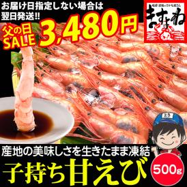 日本海の越前沖で獲れる地物甘エビを産地直送でお届け!無添加・無着色の安心品質!
