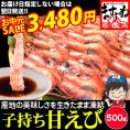 《お中元セール》【福井県越前産】お刺身用 子持ち甘えび 500g 約35-40尾入 酸化防止剤.添加物不使用【越前甘えび/甘海老/刺身/お取り寄せ/ギフト/お中元/送料無料/ますよね】