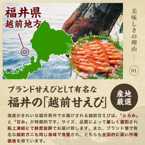 ＼敬老の日ギフトにおすすめ／酸化防止剤.添加物不使用【日本海産】お刺身用 子持ち甘えび 500g(約35-40尾入)【越前甘えび/甘海老/刺身/お取り寄せ/ギフト/敬老の日/送料無料/ますよね】02