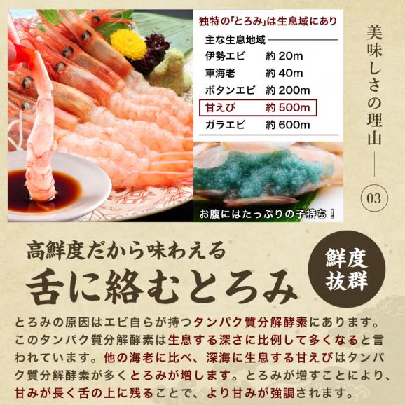 ＼敬老の日ギフトにおすすめ／酸化防止剤.添加物不使用【日本海産】お刺身用 子持ち甘えび 500g(約35-40尾入)【越前甘えび/甘海老/刺身/お取り寄せ/ギフト/敬老の日/送料無料/ますよね】04