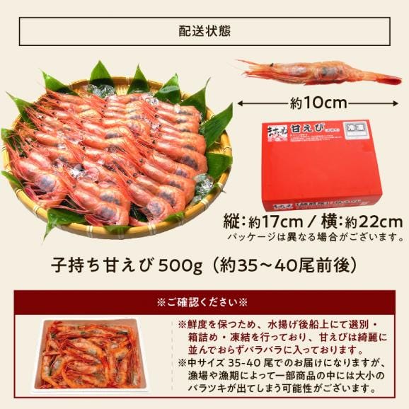 ＼敬老の日ギフトにおすすめ／酸化防止剤.添加物不使用【日本海産】お刺身用 子持ち甘えび 500g(約35-40尾入)【越前甘えび/甘海老/刺身/お取り寄せ/ギフト/敬老の日/送料無料/ますよね】06
