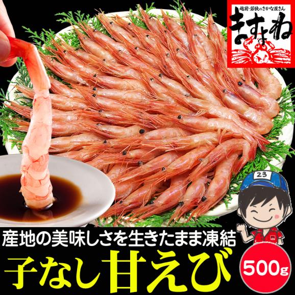 【福井県越前産】お刺身用 子なし甘エビ 500g 約40尾 (訳有サイズ不揃い)　酸化防止剤.添加物不使用【ギフト/越前甘えび/甘えび/甘海老/送料無料/お中元/ますよね】01