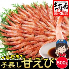 酸化防止剤.添加物不使用【福井県越前産】お刺身用 子なし甘エビ 500g 約40尾 (訳ありサイズ不揃い)【ギフト/お歳暮/越前甘えび/甘エビ/甘えび/甘海老/送料無料/お中元/ますよね】
