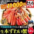 《お中元セール》［価格値下げ!!］【商標登録かに伝説】生食可 元祖 カット済み 生ずわい蟹 1.2kg【送料無料/BBQ/ずわいかに/ズワイ蟹/蟹刺し/蟹しゃぶ/焼き蟹/お中元/ギフト/ますよね】