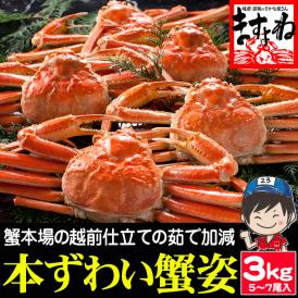 ボイル本ずわい蟹 姿 3kg前後(600g×5～7尾) ※一部にキズや足折れ有【蟹/カニ/かに/ずわいがに/ズワイ蟹/ギフト/父の日/お中元/送料無料/ますよね】