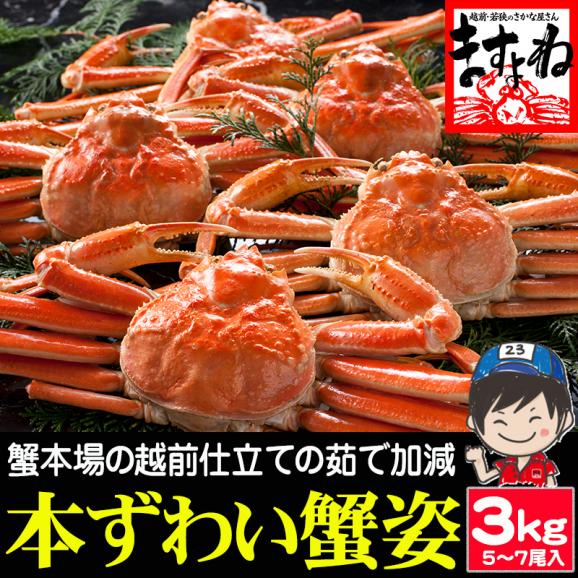 ボイル本ずわい蟹 姿 3kg前後(600g&times;5～7尾) ※一部にキズや足折れ有【蟹/カニ/かに/ずわいがに/ズワイ蟹/ギフト/父の日/お中元/送料無料/ますよね】01