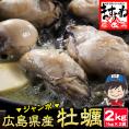 ぷりっぷり♪ジャンボ広島県産 牡蠣2kg前後(加熱用)【送料無料/BBQ/母の日/ギフト/貝/かき/カキ/牡蠣/カキ鍋/お歳暮/ますよね】