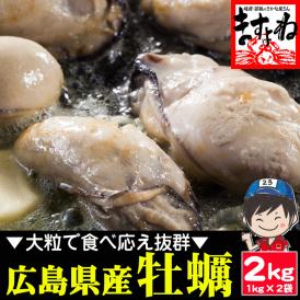 ぷりっぷり♪ジャンボ広島県産 牡蠣2kg前後(加熱用)【送料無料/BBQ/ギフト/貝/かき/カキ/牡蠣/カキ鍋/カキフライ/母の日/ますよね】