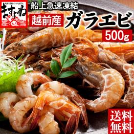 【福井県越前産】希少なガラエビ500g(約30匹)無添加・無着色【送料無料/お刺身用/がらえび/ガサエビ/海老/お中元/お歳暮/ギフト/ますよね】