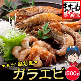 【福井県越前産】希少なガラエビ500g(約30匹)無添加・無着色【送料無料/お刺身用/がらえび/ガサエビ/海老/お中元/お歳暮/ギフト/ますよね】