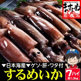 日本海産するめいか 7ハイ (約1.3kg)【BBQ/スルメイカ/烏賊/イカ/いか/ギフト/お歳暮/送料無料/ますよね】
