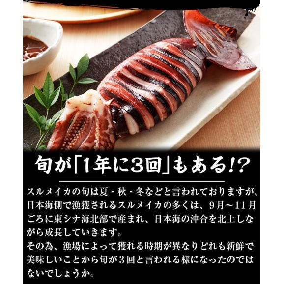 日本海産するめいか 7ハイ (約1.3kg)【BBQ/スルメイカ/烏賊/イカ/いか/ギフト/お中元/送料無料/ますよね】03