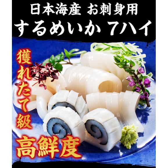日本海産するめいか 7ハイ (約1.3kg)【BBQ/スルメイカ/烏賊/イカ/いか/ギフト/お中元/送料無料/ますよね】04
