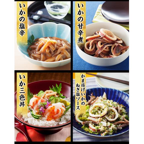 日本海産するめいか 7ハイ (約1.3kg)【BBQ/スルメイカ/烏賊/イカ/いか/ギフト/お中元/送料無料/ますよね】05