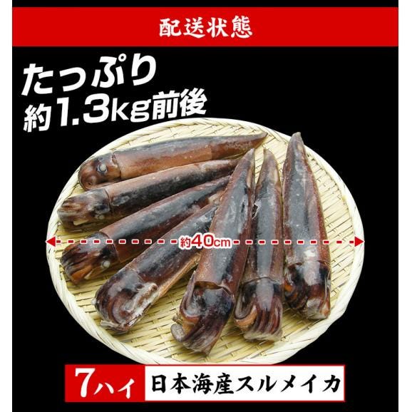 日本海産するめいか 7ハイ (約1.3kg)【BBQ/スルメイカ/烏賊/イカ/いか/ギフト/送料無料/ますよね】06