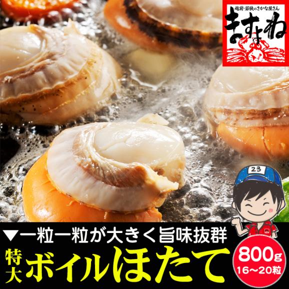 北海道 噴火湾産] ボイルほたて 800g前後(16-20粒入) 貝ひも付き【貝