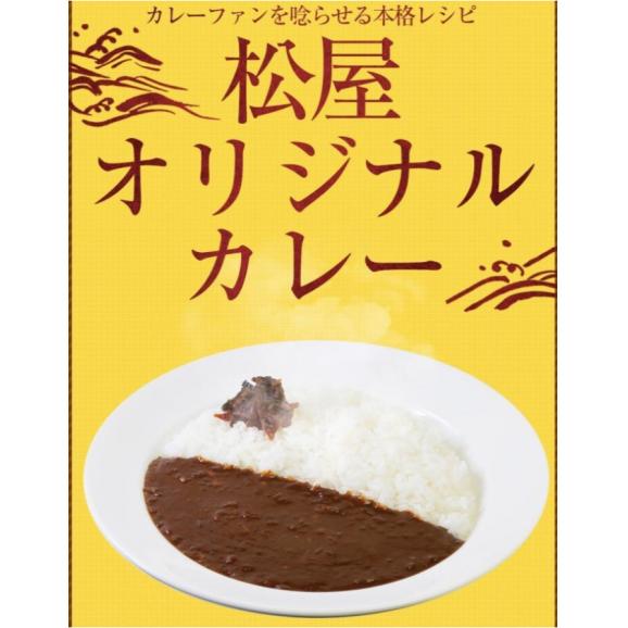 松屋 カレー30食（伝説のオリジナルカレー180ｇ×30個）【冷凍】カレーの具 冷凍食品 セール02